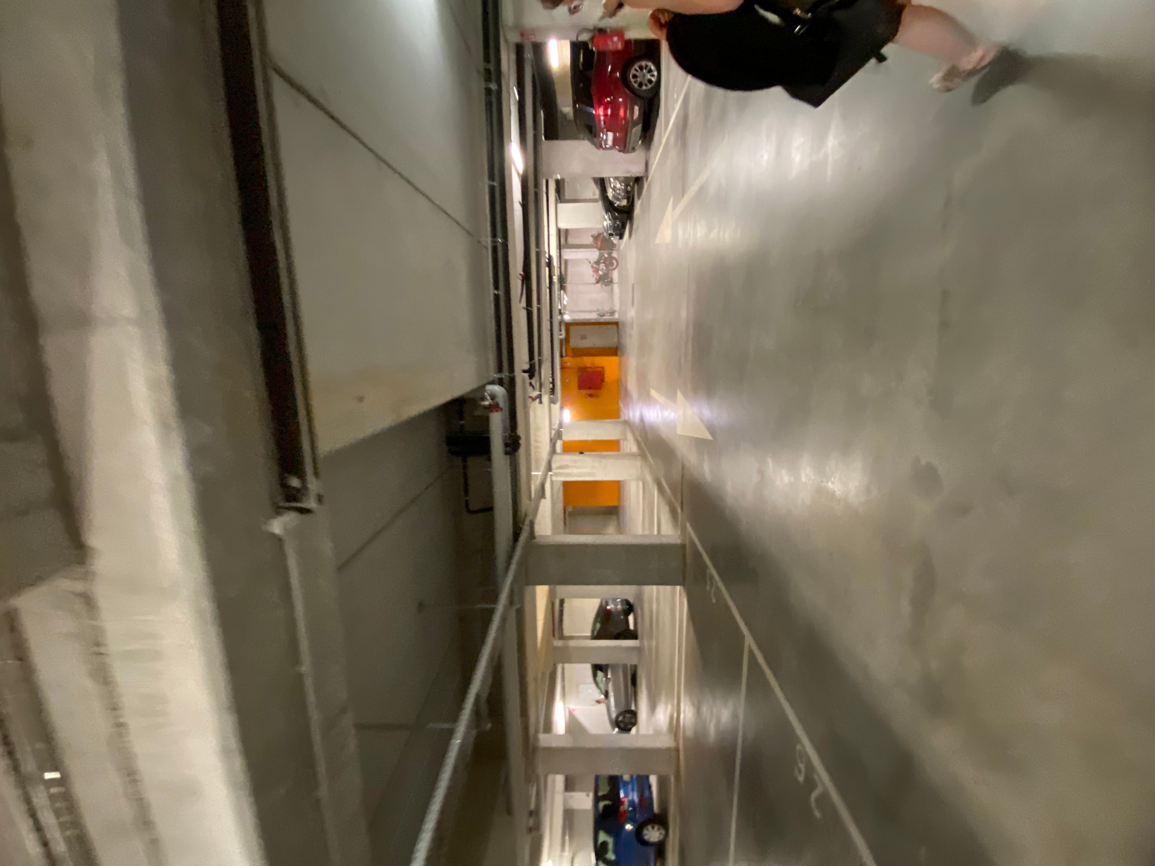 IMG_4023.jpeg